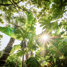 將圖片載入圖庫檢視器 Premier Research Labs MicroBiome-18™ 益生菌 (30 Capsules)