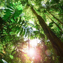 將圖片載入圖庫檢視器 Premier Research Labs Probiotic 益生菌 (60 Soft Gels 軟膠囊)