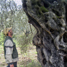 Load image into Gallery viewer, Myrolion Polyphenol-Rich Organic Extra Virgin Olive Oil 500ml
