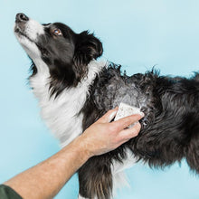 將圖片載入圖庫檢視器 Ethique Pet Care - Shampooch™ Unscented Solid Dog Shampoo 加倍寵愛敏感狗隻沐浴芭
